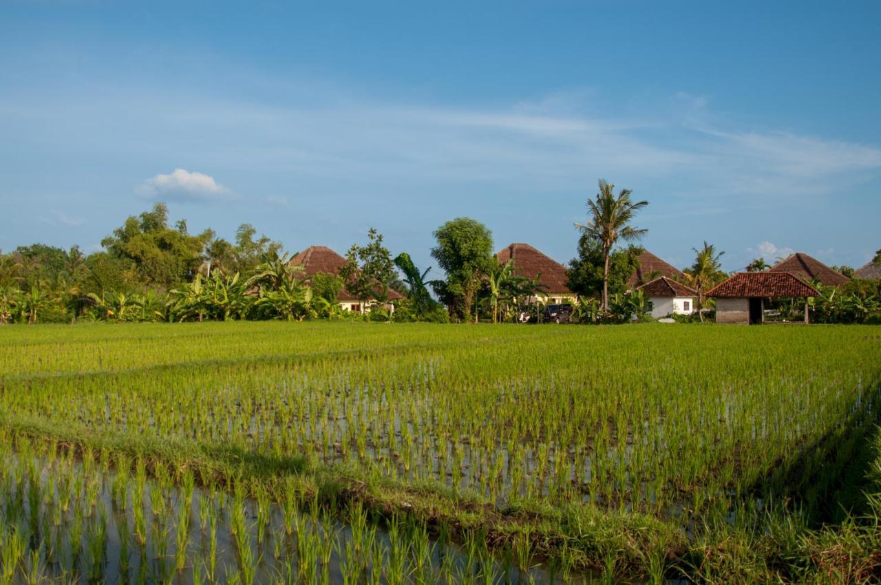 The North Cape Beach Villas Umeanyar Bagian luar foto